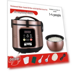 Smart Multi-functional Rice Cooker — Electric Cookers, Positive Hemisphere