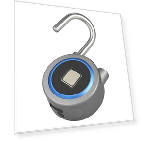 Smart Fingerprint Lock — Smart Home Security, Igeteck