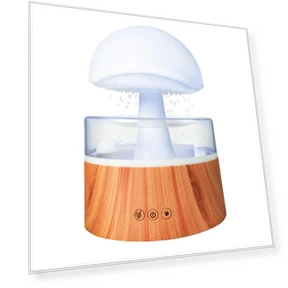 Humidifier with Rain Cloud, Water Dropper, White Noise, Essential Oil Diffuser — Air Moisturizers, TOMTOP JMS