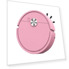 Intelligent Sweeping Robot Vacuum — Smart Cleaning Robots, Fungogo