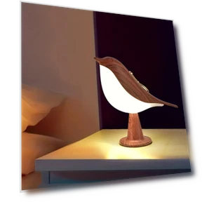 LED Night Light with Touch Switch — Night Lights, Xiao--Xiao