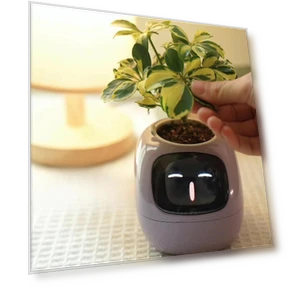 Smart Pet Pot — Nursery Pots, HappyToy