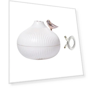 Air Humidifier with Essential Oil Diffuser and LED Lighting — Air Moisturizers, Enjoy Smart Home