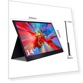 Portable Touchscreen Monitor — Display Solutions, Rizy