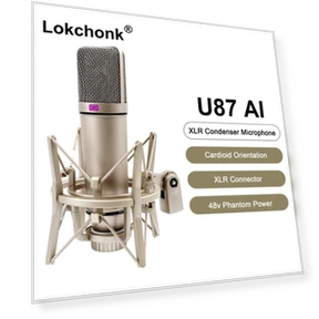 Professional Cardioid Condenser Microphone — Condenser, ZPG