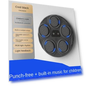 Smart Bluetooth Music Box for Wall Target — Boxing Training Gear, Binchi Outdoor Equipment