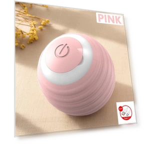 Automatic Rolling Ball Cat Interactive Toy — Cat Playthings, Yiran Furniture