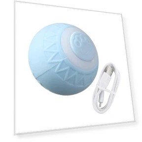 Interactive Pet Toy Ball — Balls, xiekeying