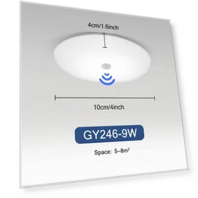 LED Ceiling Light with Automatic PIR Motion Sensor — Overhead Lighting, Your Warm Home