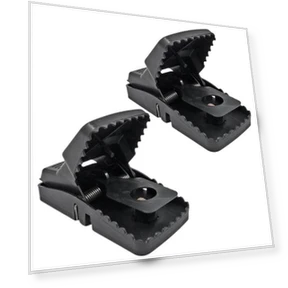 Sensitive Rat Trap Bucket, 2-Pack — Traps, Hello Garden