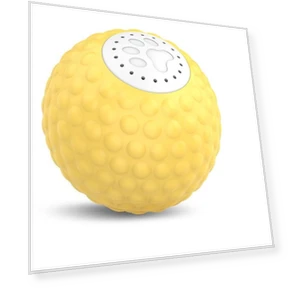 Smart Ball for Dogs — Balls, Dongfang HOME A