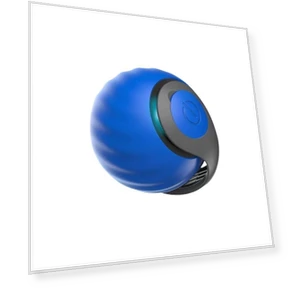 Interactive Pet Toy Ball — Interactive Animal Companions, YJMP Top