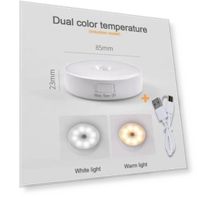 Motion and Presence Sensor LED Night Light — Night Lights, Actually lighting