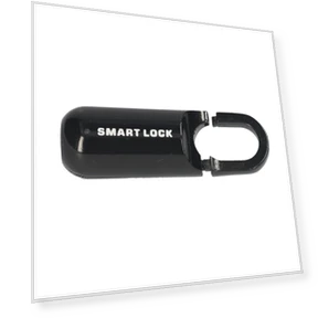 Smart Hanging Lock with Fingerprints — Padlocks & Hasps, Zeblaze