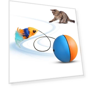 Electric Cat Toy Ball — Cat Playthings, Ren Sexy Toy
