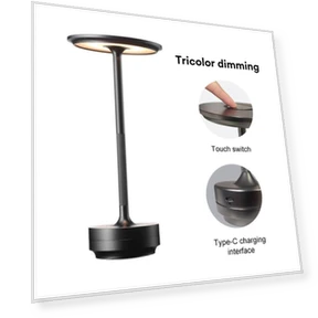 Rechargeable LED Desk Lamp — Study & Desk Lighting, Drive Home Supplies