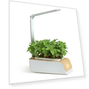 Smart Garden Pot — Growing Lamps, Happy Home Mall