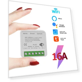 Mini WiFi Smart Switch — Smart Home Hubs & Controllers, Build My Home