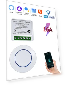 WiFi Smart Switch 16A RF 433Mhz — Smart Home Modules, Rainbow Rain