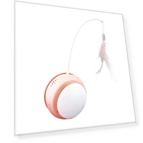Electric Cat Toy Ball — Cat Playthings, Pet family bucket