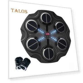 Music Boxing Target with Light Effect — Boxing Training Gear, ZTTO