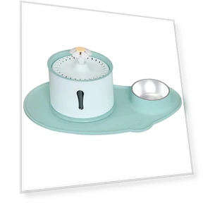 Smart Water Dispenser for Pets — Pet Hydration Solutions, Pet family bucket