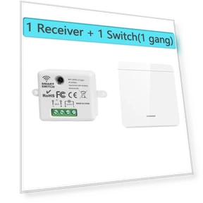 Mini WiFi+RF433 Light Switch — Smart Home Modules, Lntelligent Living Hall