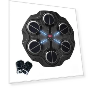 Music Boxing Target with Light Effect — Boxing Training Gear, newaday