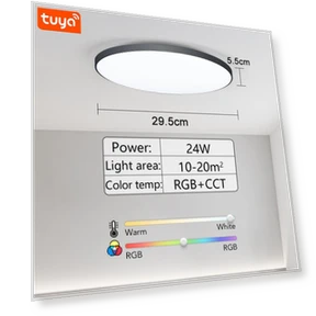 Smart Ceiling Light — Overhead Lighting, Rainbow Rain