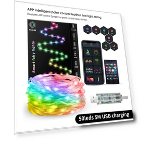 Dreamcolor USB LED RGB Fairy Lights — String Lights, AE Selection