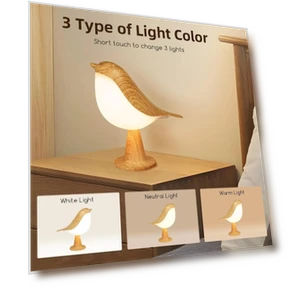 LED Touch Night Light — Night Lights, AE Selection