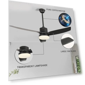 52-inch Silent Remote Control Reversible DC Ceiling Fan Light — Ceiling Fan Lighting Solutions, Build My Home