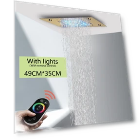 Shower Head with Matte Ceiling and LED Lighting — Fixed, JOHO