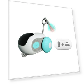 Smart Running Car Remote Control Electric Cat Toy — Cat Playthings, Seahorse Home