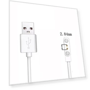 Charging Cable — Smartwatch Charging Solutions, Beauty decration