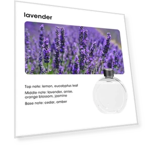 Home Desktop Aromatherapy Diffuser — Diffusers, Optimized General