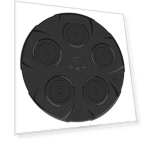 Bluetooth Music Boxing Target Wall Trainer — Home Gyms, AI Supermarket