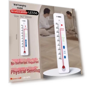 High Precision Wall-Mounted Electronic Thermometer and Hygrometer — Home Climate Control, AI Supermarket