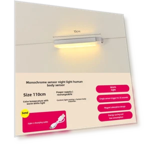 LED Strip with Motion Sensor and USB Charging — LED Strips, AI Supermarket