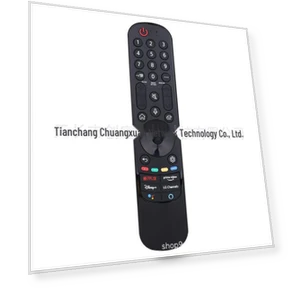 Remote Control — Remote Controls, AI Supermarket