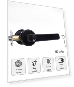 Smart Lock for Wooden Bedroom Door — Padlocks & Hasps, Apex Gear