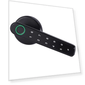 Smart Lock with Fingerprint and Password — Padlocks & Hasps, Apex Gear