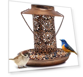 Solar-Powered Dual-Use Bird Feeder with Decorative Lawn Lighting — Backyard Birding, AI Supermarket
