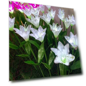 Waterproof LED Garden Light with Lilies — Outdoor Security & Flood Lighting, AI Supermarket