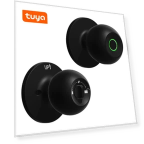 Biometric Door Lock — Smart Home Security, Chic Home