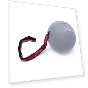 Smart Golf Swing Trainer Hand Corrector — Strength Trainers, EchoMart