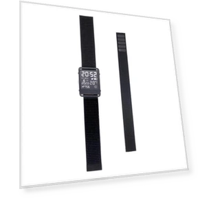 Smartwatch — Smartwatches, Cyprinoid