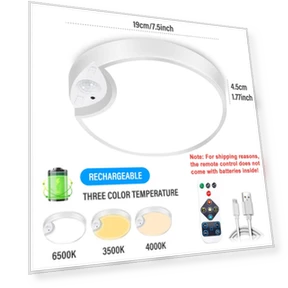 LED Touch Ceiling Light with Motion Sensor — Overhead Lighting, Modern Home Furnishing