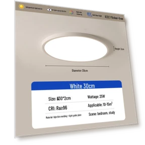 Modern Smart Ceiling Light with Full Eye Protection — Overhead Lighting, WoW Home