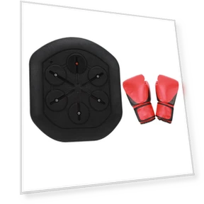 Wall-mounted Boxing Trainer — Fitness & Activity Monitors, Fishine